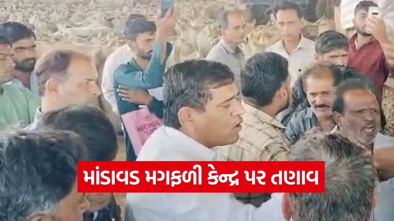 Visavadar Peanut Controversy.jpg
