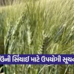 Wheat Irrigation Management 1