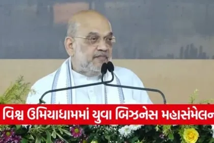 Youth Business Summit Gujarat 1