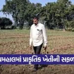 Panchmahal Natural Farming Success 1