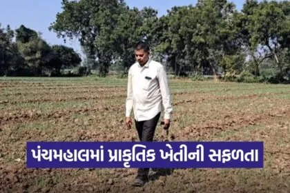 Panchmahal Natural Farming Success 1
