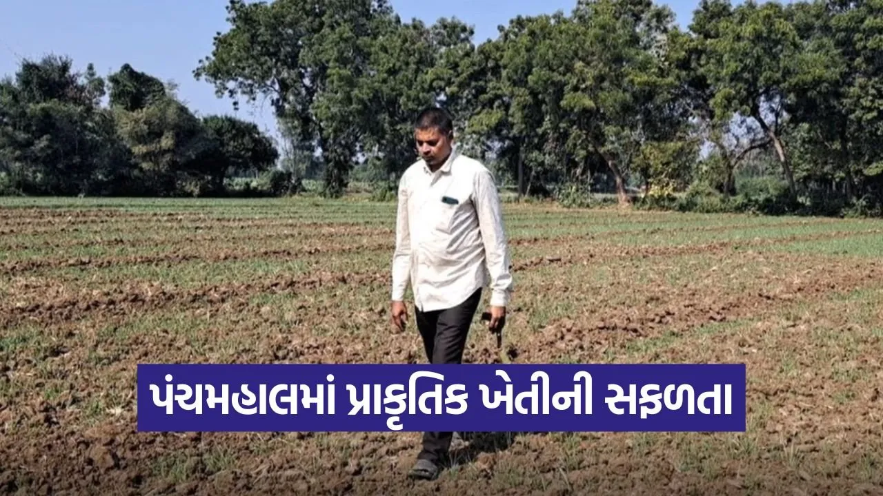 Panchmahal Natural Farming Success 1.jpg