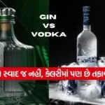 INDIA 1 2025 12 28T230455.461