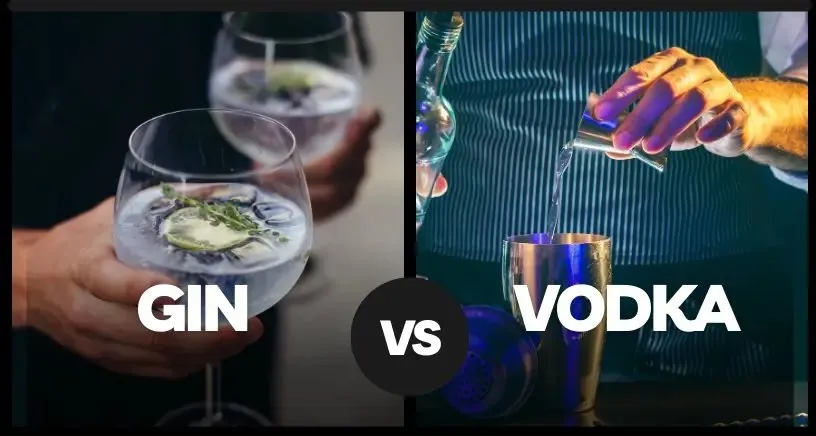 Gin vs Vodka: શું તમને પણ બંને વચ્ચે કન્ફ્યુઝન થાય છે? વાંચો આ ખાસ રિપોર્ટ 3 alcohol 1.jpg