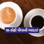 INDIA 1 2025 12 29T091536.822