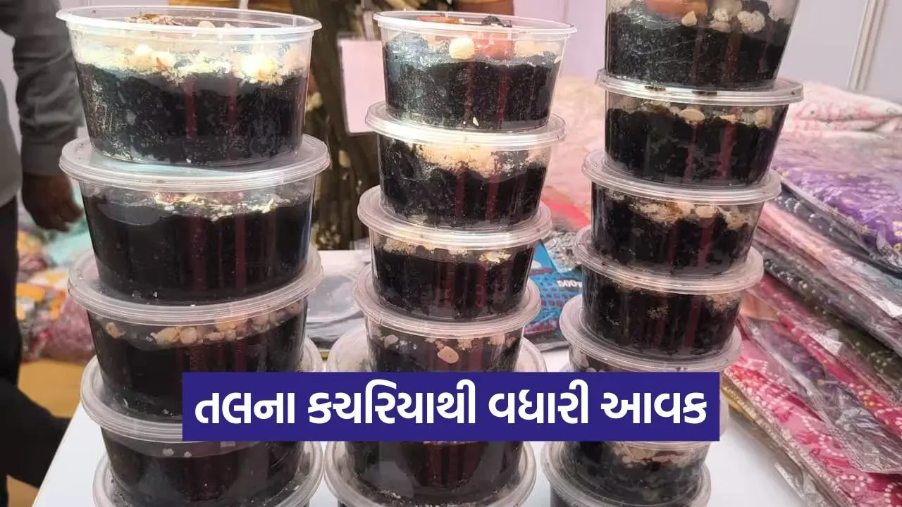 sesame value added farming 1.jpg
