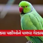 Illegal Pet Birds