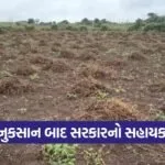 Amreli Crop Compensation 2025 1