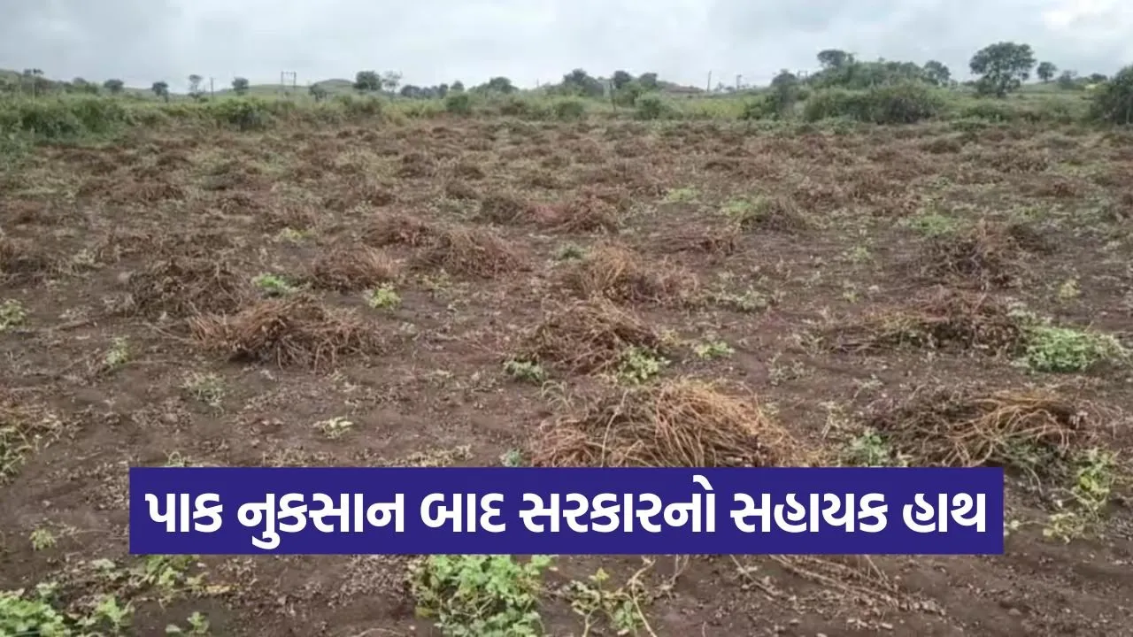 Amreli Crop Compensation 2025 1.jpg