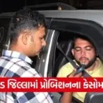 Valsad New Year Police Checking 1