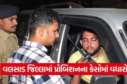 Valsad New Year Police Checking 1