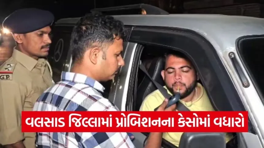 Valsad New Year Police Checking 1