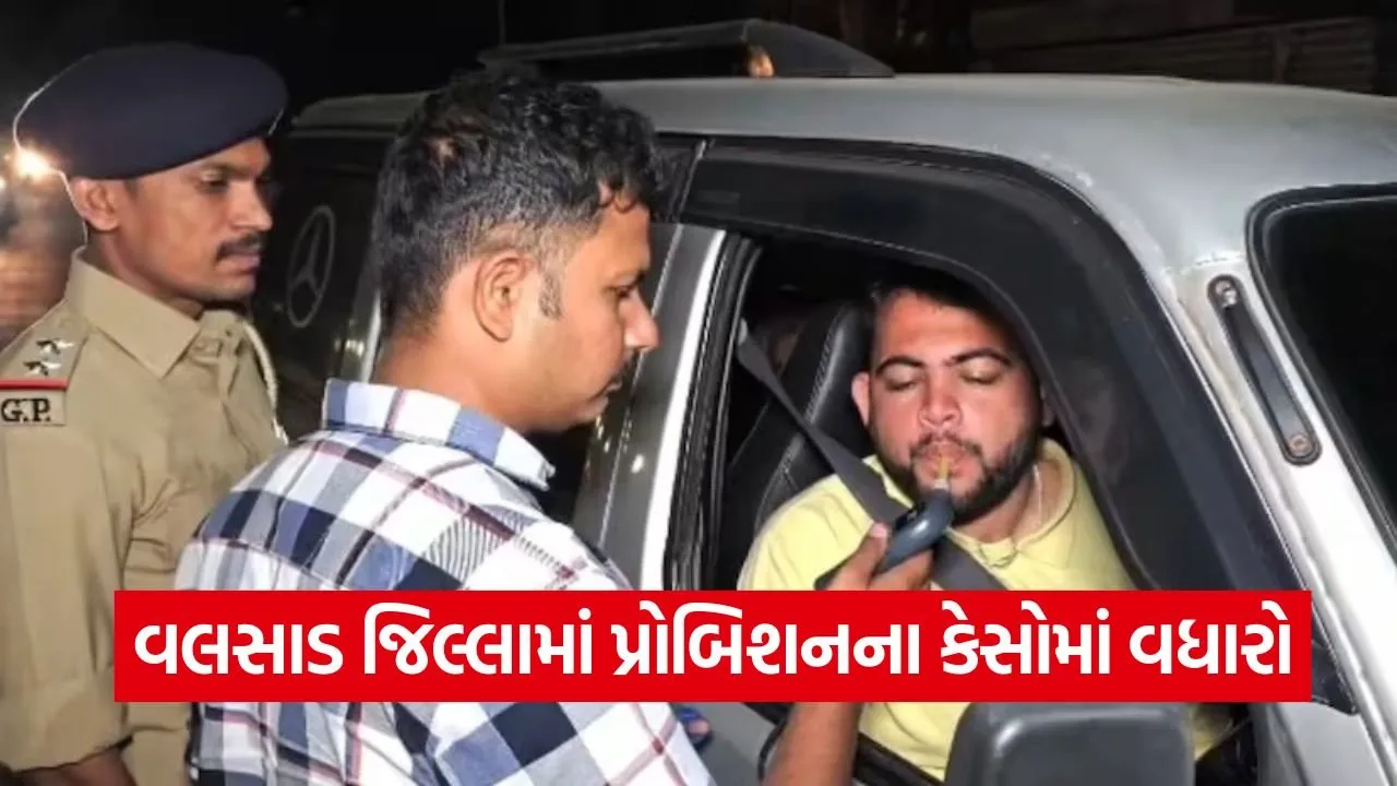 Valsad New Year Police Checking 1.jpg