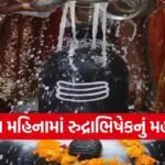 Rudrabhishek