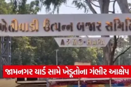Jamnagar MSP Groundnut Issue 1