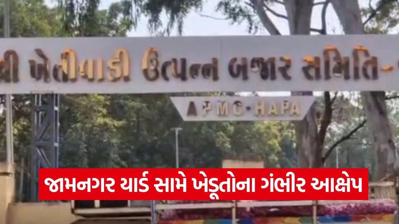 Jamnagar MSP Groundnut Issue 1.jpg