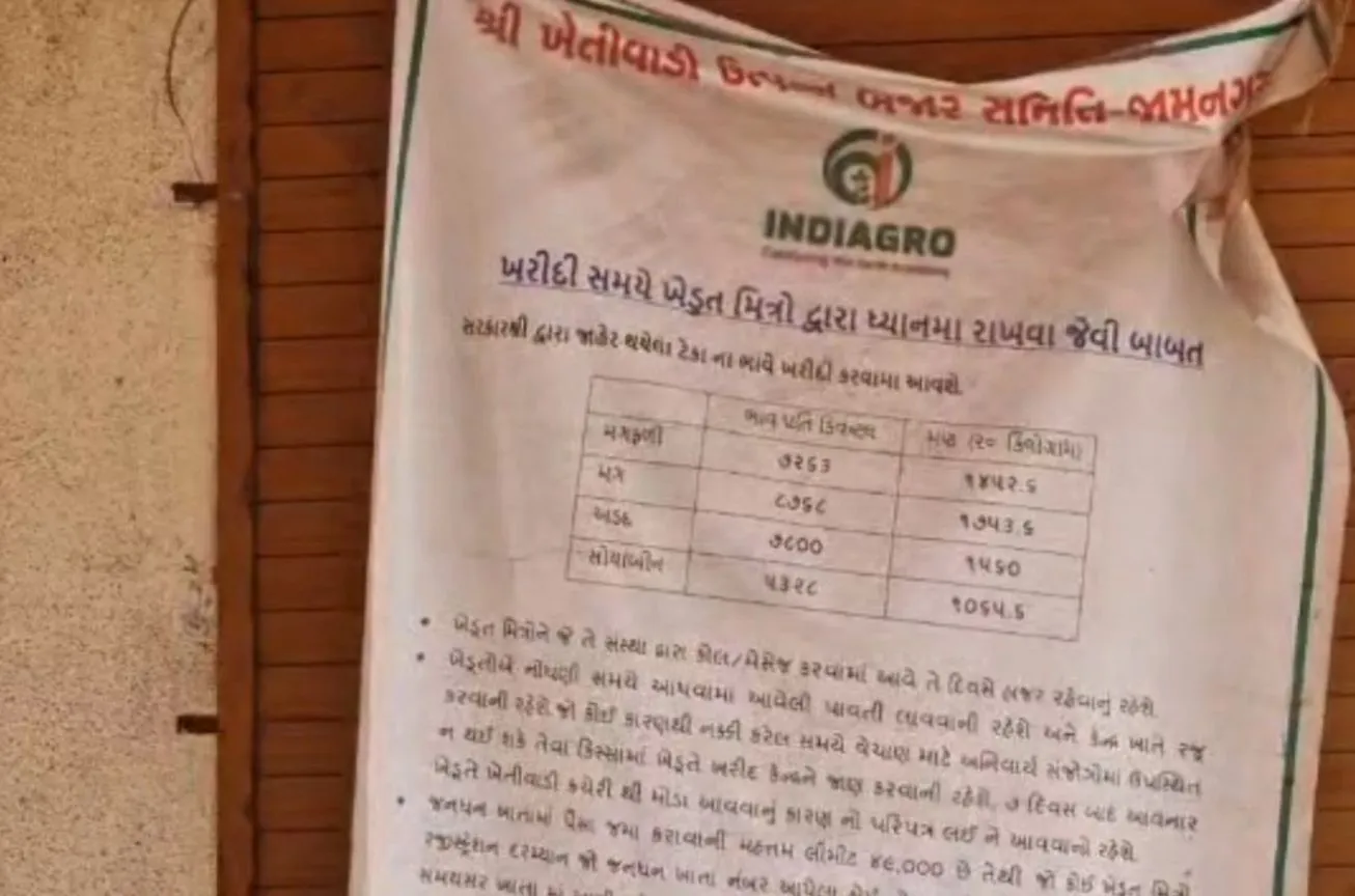 જામનગર માર્કેટ યાર્ડમાં ટેકાના ભાવે મગફળી ખરીદીની મંદગતિ, ખેડૂતોમાં ભારે નારાજગી 2 Jamnagar MSP Groundnut Issue 2.png
