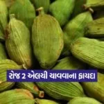 Dharmishtha 2025 12 29T172047.938
