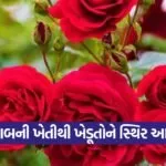 rose farming profitability 1