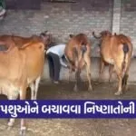 winter livestock care 1