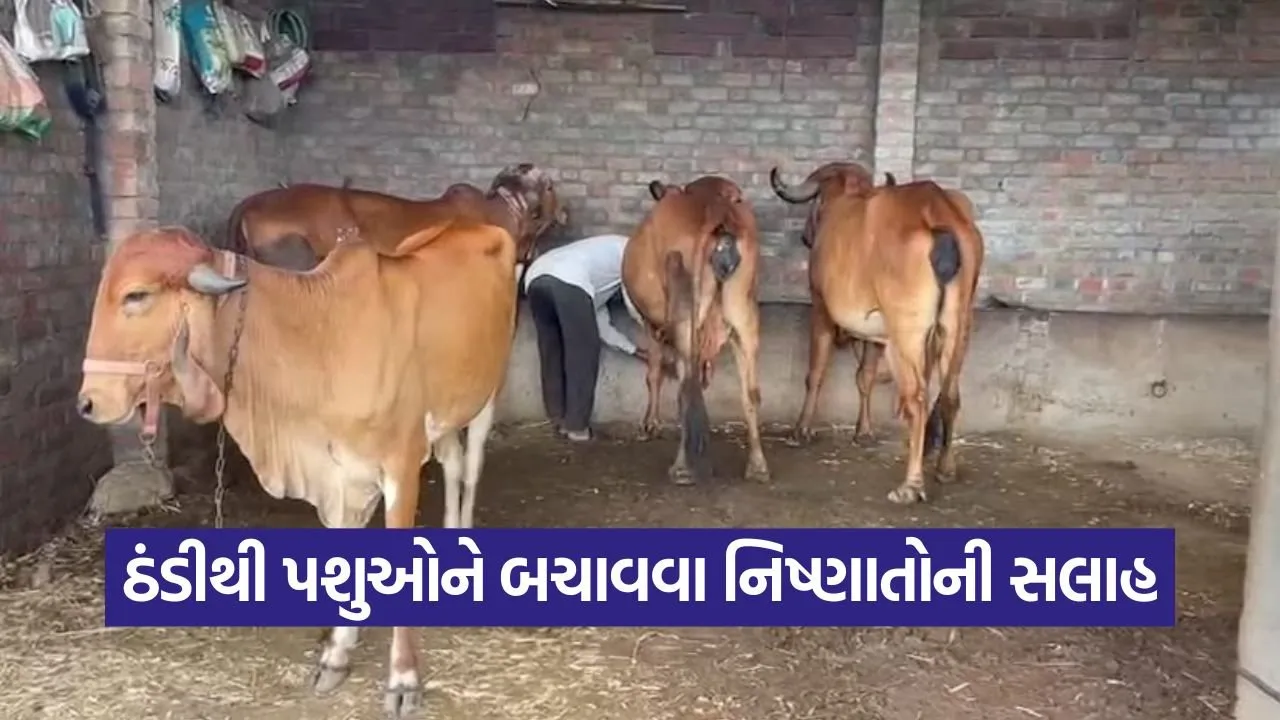 winter livestock care 1.jpg