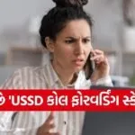 Mobile fraud alert