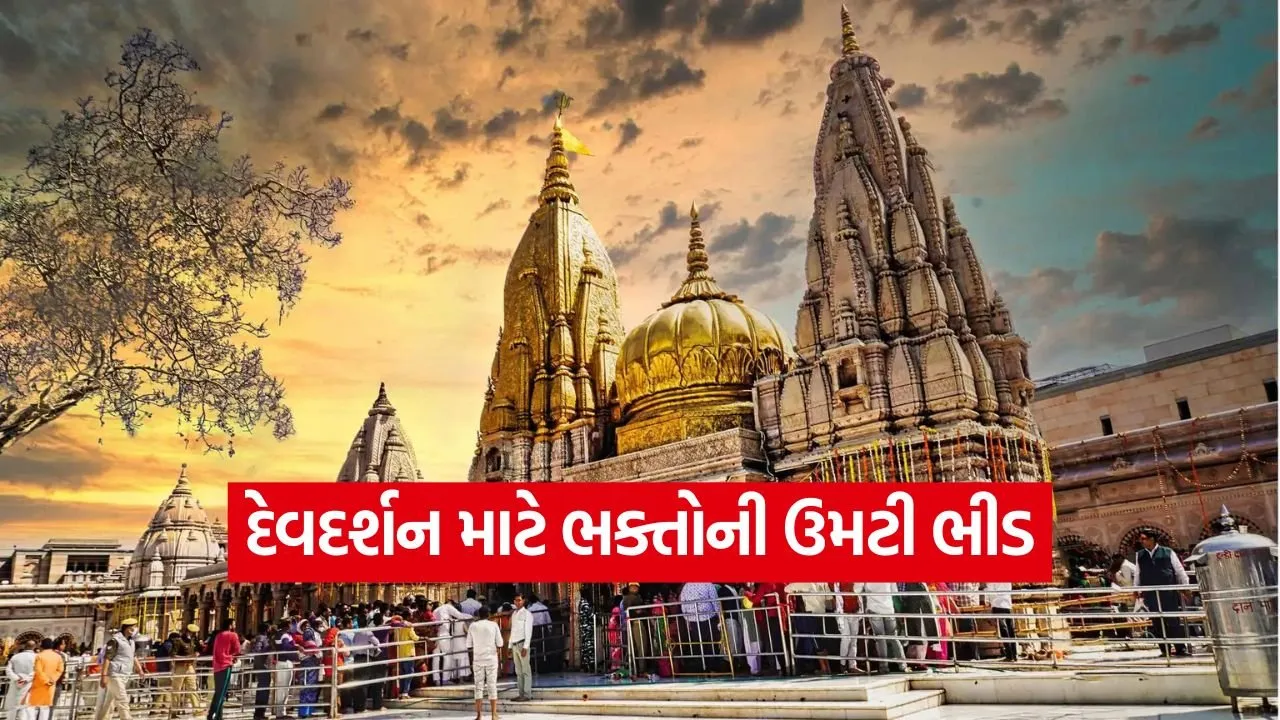 dharmishtha 1 12.jpg