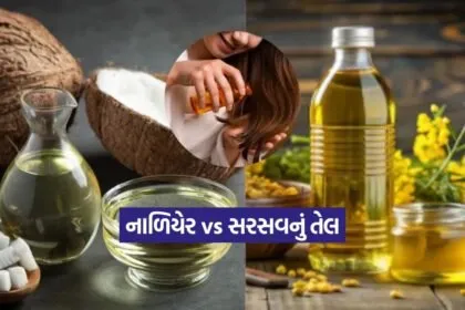 Dharmishtha 2025 12 30T170713.281