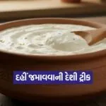 Dharmishtha 2025 12 30T172756.184