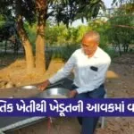 chaturbhai rudani amreli natural farming 1