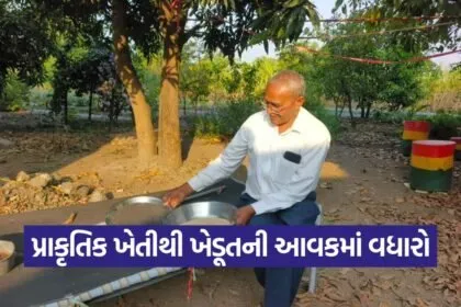 chaturbhai rudani amreli natural farming 1