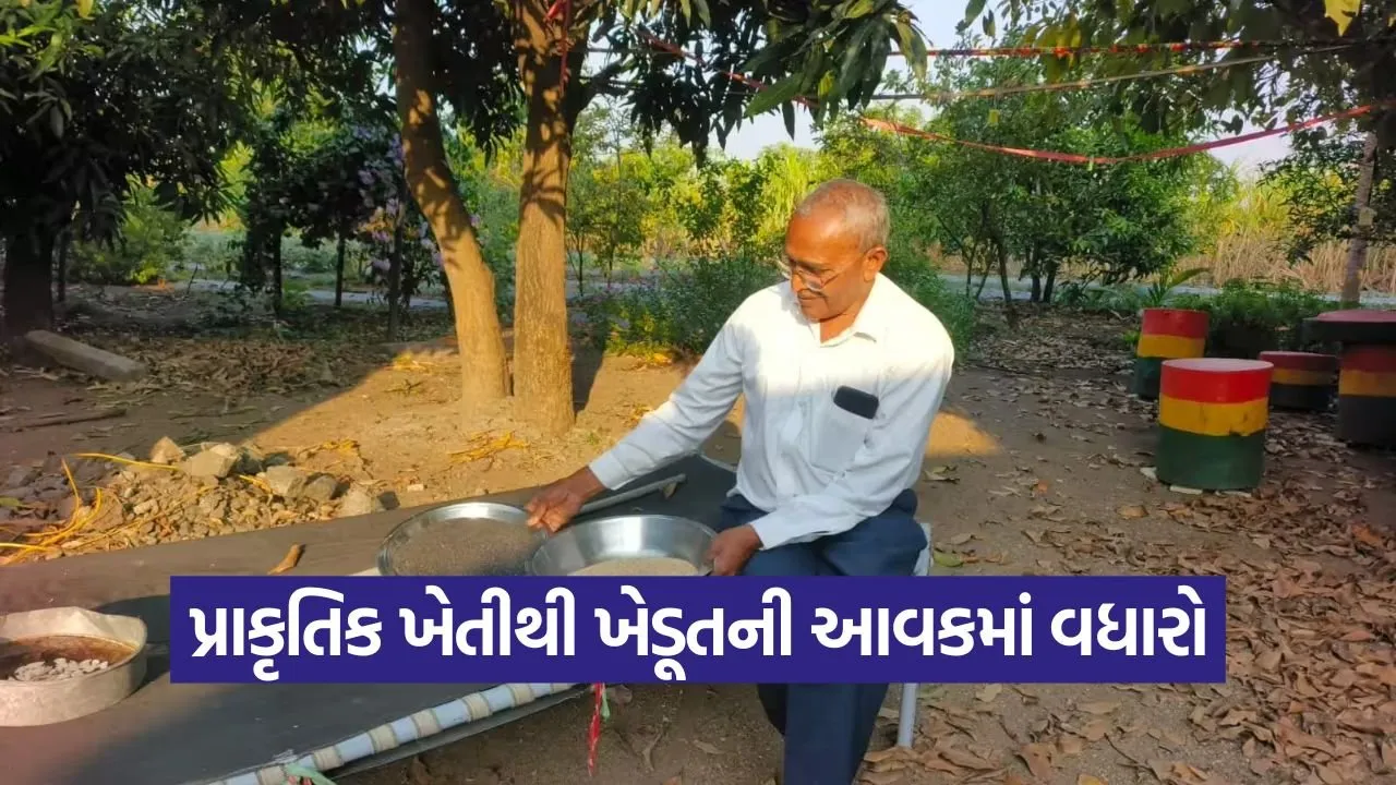 chaturbhai rudani amreli natural farming 1.jpg