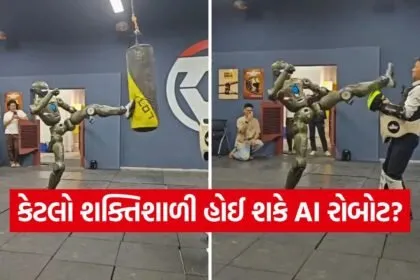 robat