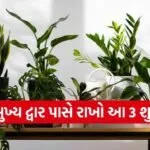Plant Vastu Tips