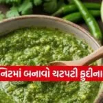 Pudina Chutney Recipe