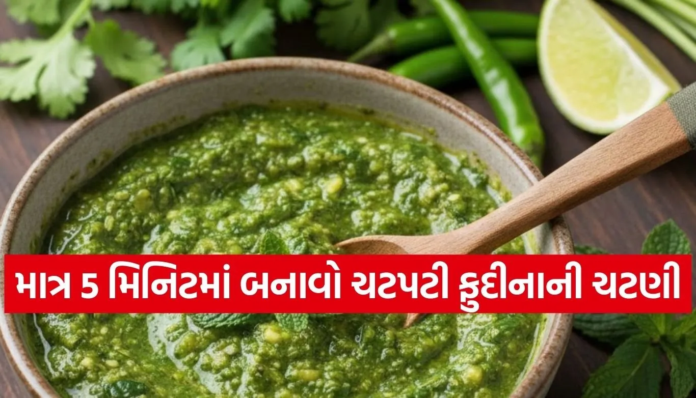 Pudina Chutney Recipe