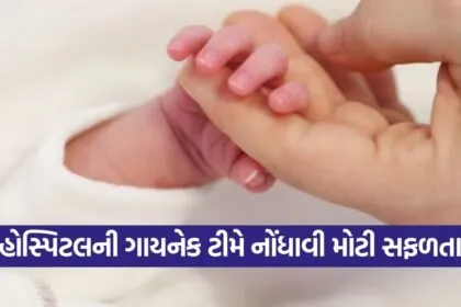 Navsari Civil Hospital Delivery Record 2025 1