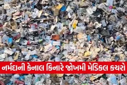 Medical Waste Disposal chhota udepur 1