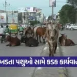 Vibrant Gujarat Summit Rajkot 1