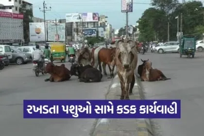 Vibrant Gujarat Summit Rajkot 1