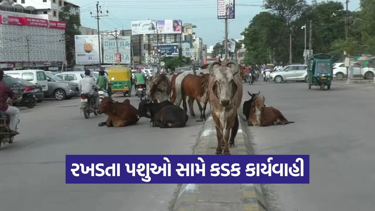 Vibrant Gujarat Summit Rajkot 1.jpg