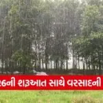 Unseasonal rain Gujarat