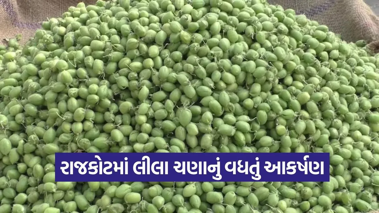 green chana rajkot market 1.jpg