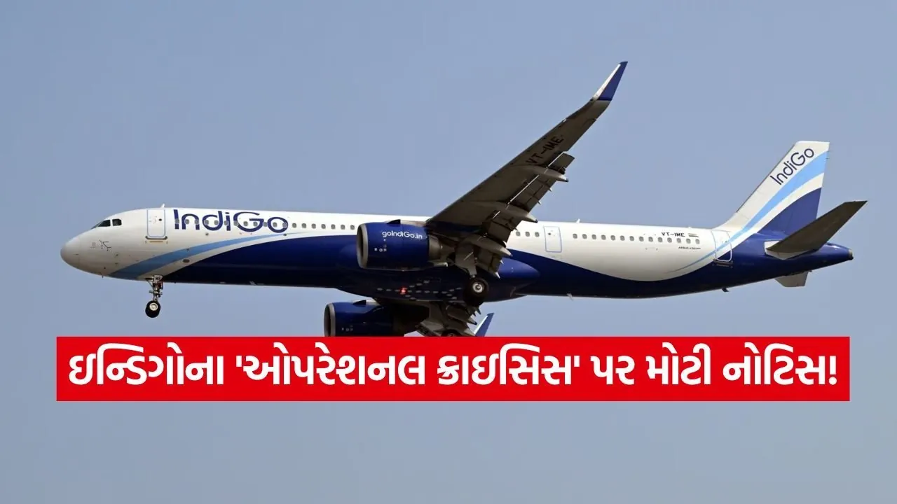 indigo09.jpg