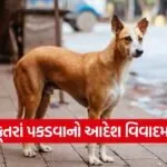 talati stray dog order Gujarat 1