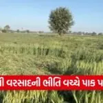Gujarat Weather Update 2026 1