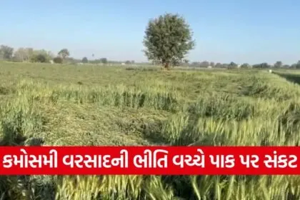 Gujarat Weather Update 2026 1