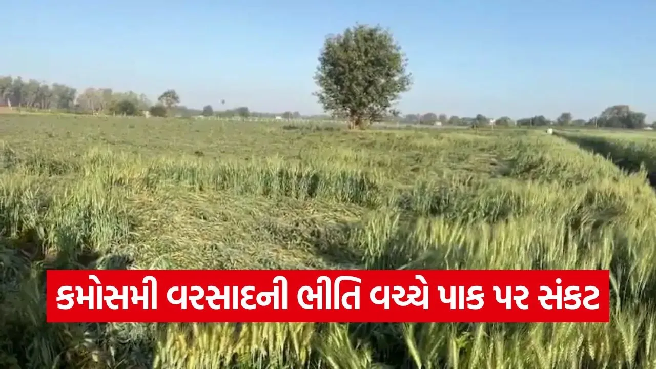 Gujarat Weather Update 2026 1.jpg