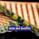 Dharmishtha 2026 01 01T173959.484