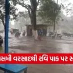 Navsari Unseasonal Rain 1